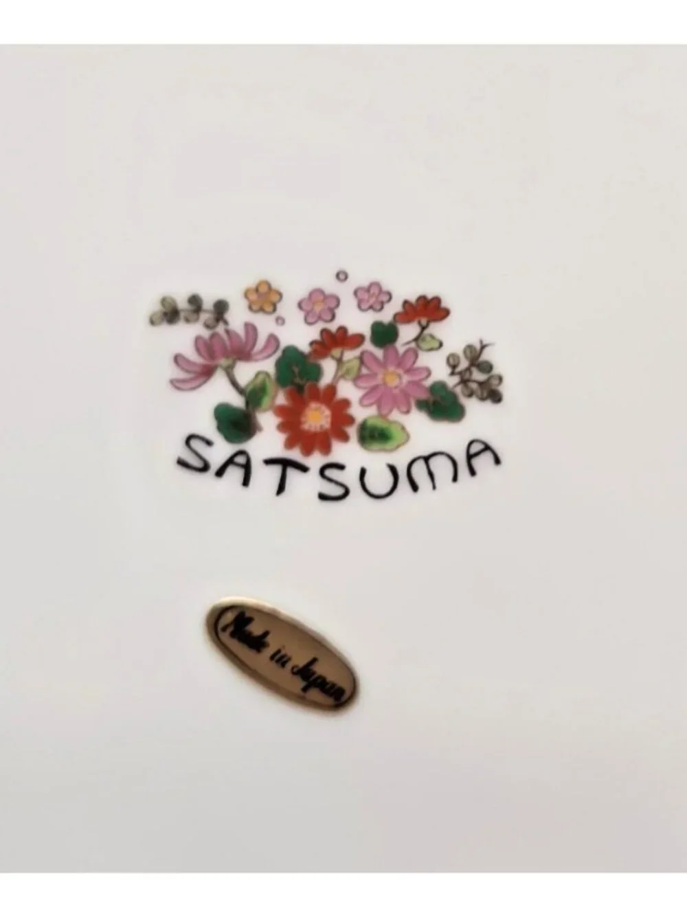 Vintage Satsuma Japanese Plate 10.5